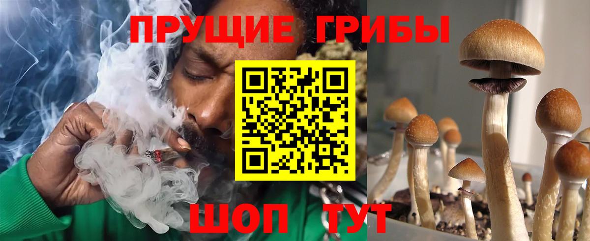 Галлюциногенные грибы Cubensis  Вход с VPN  хочу   Ирбит 